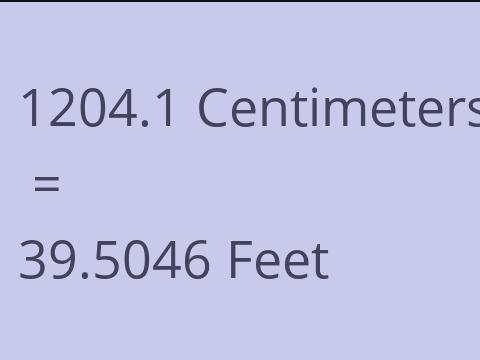 1204.1 CM TO FEET