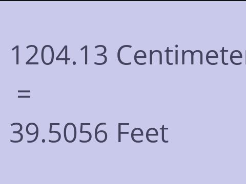 1204.13 CM TO FEET