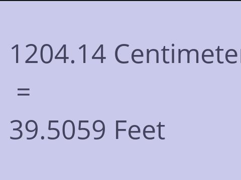 1204.14 CM TO FEET