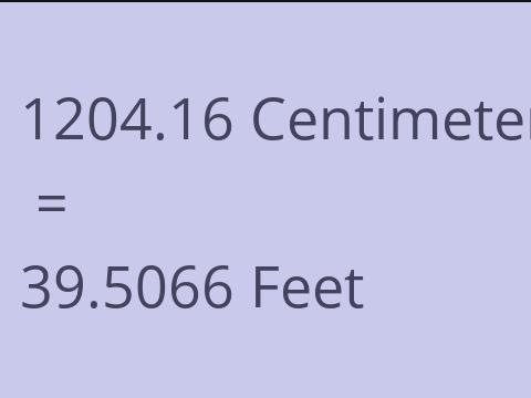 1204.16 CM TO FEET