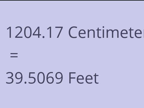 1204.17 CM TO FEET