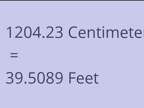 1204.23 CM TO FEET