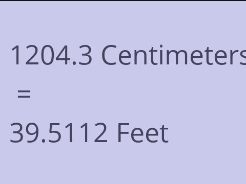 1204.3 CM TO FEET