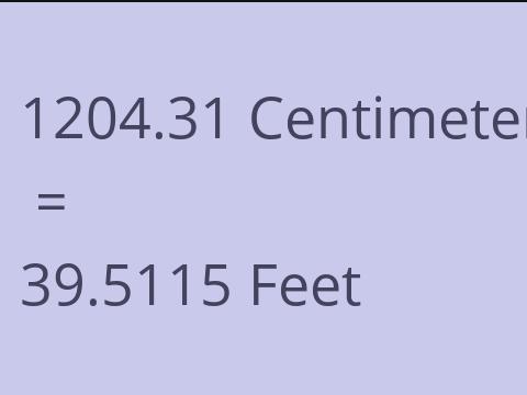 1204.31 CM TO FEET