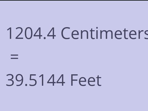 1204.4 CM TO FEET