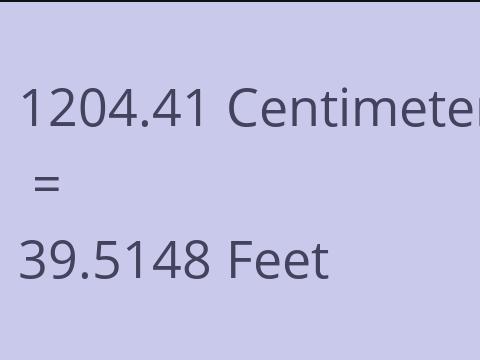 1204.41 CM TO FEET