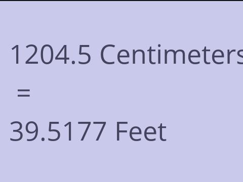 1204.5 CM TO FEET