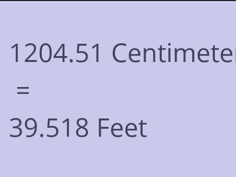 1204.51 CM TO FEET