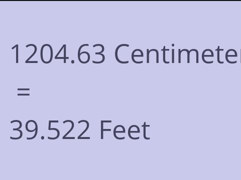 1204.63 CM TO FEET