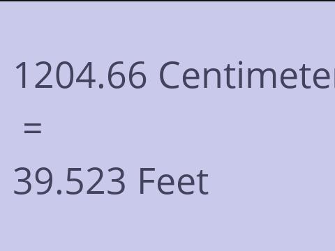 1204.66 CM TO FEET