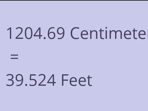 1204.69 CM TO FEET