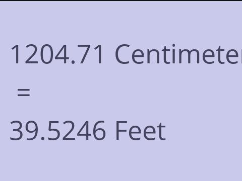 1204.71 CM TO FEET