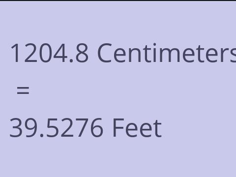 1204.8 CM TO FEET