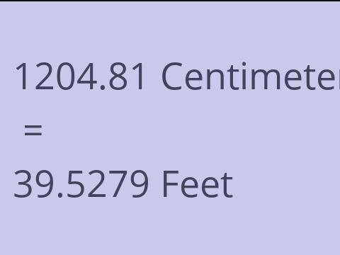 1204.81 CM TO FEET