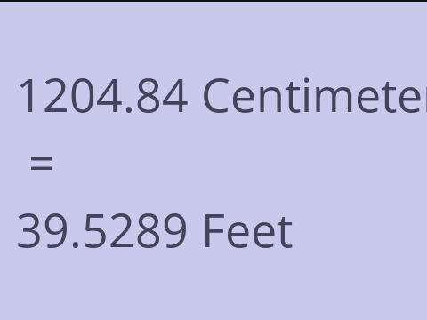 1204.84 CM TO FEET