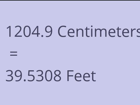 1204.9 CM TO FEET