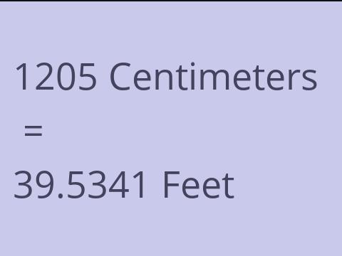 1205 CM TO FEET