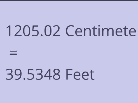 1205.02 CM TO FEET