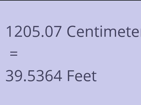 1205.07 CM TO FEET