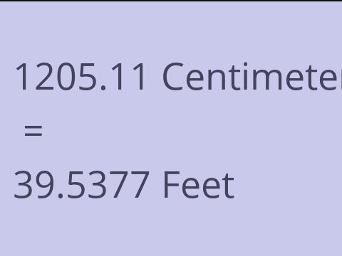 1205.11 CM TO FEET