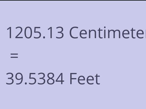 1205.13 CM TO FEET