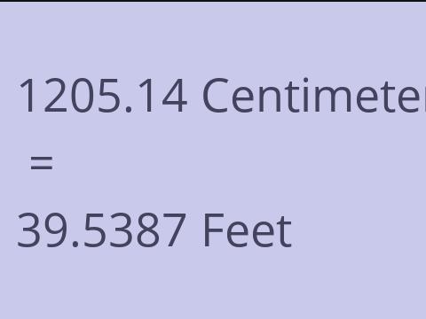 1205.14 CM TO FEET