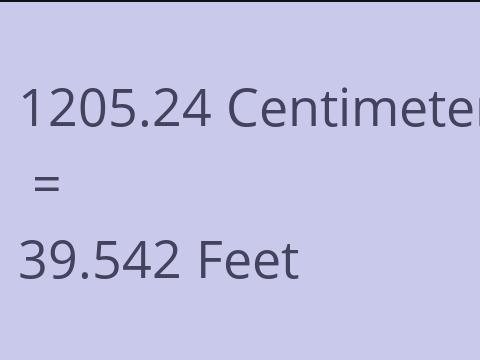 1205.24 CM TO FEET