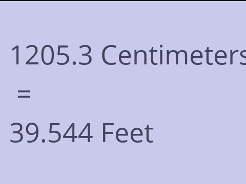 1205.3 CM TO FEET