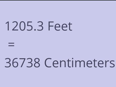 1205.3 FEET TO CM