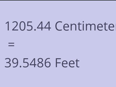 1205.44 CM TO FEET