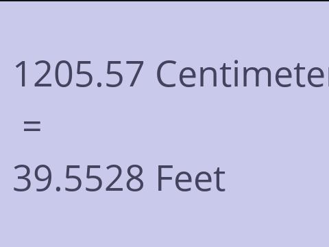 1205.57 CM TO FEET