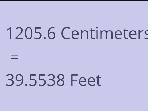 1205.6 CM TO FEET