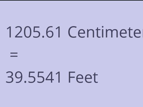 1205.61 CM TO FEET