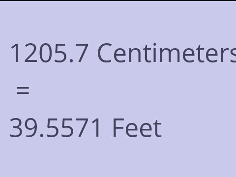 1205.7 CM TO FEET