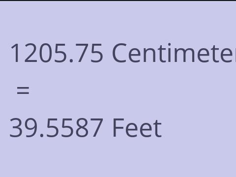 1205.75 CM TO FEET