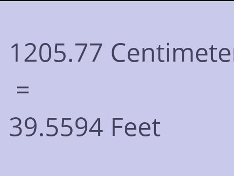 1205.77 CM TO FEET