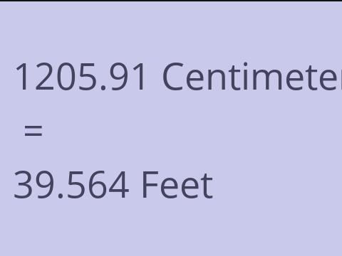 1205.91 CM TO FEET