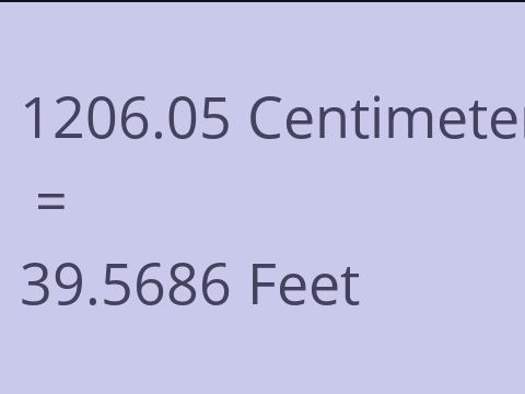 1206.05 CM TO FEET