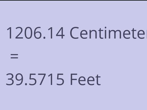 1206.14 CM TO FEET