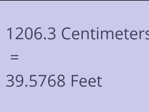 1206.3 CM TO FEET