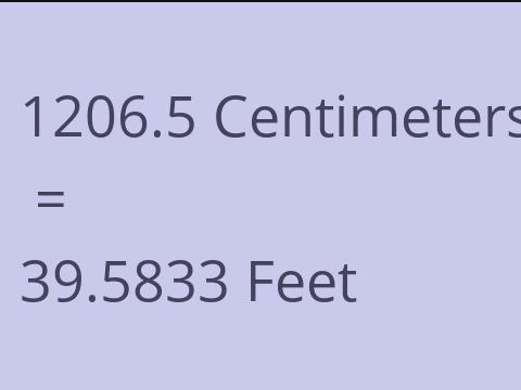 1206.5 CM TO FEET