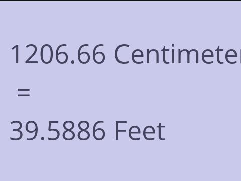 1206.66 CM TO FEET