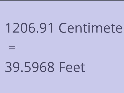 1206.91 CM TO FEET