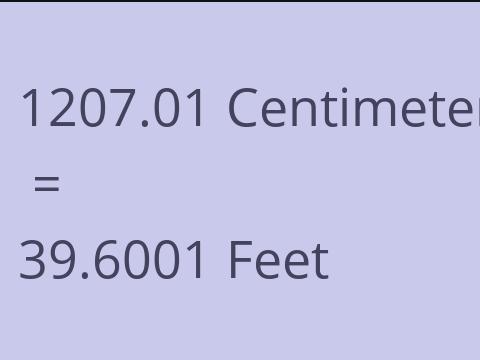 1207.01 CM TO FEET