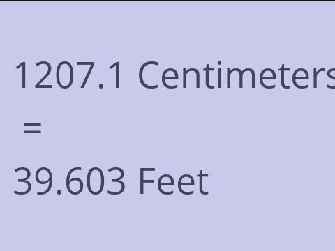 1207.1 CM TO FEET