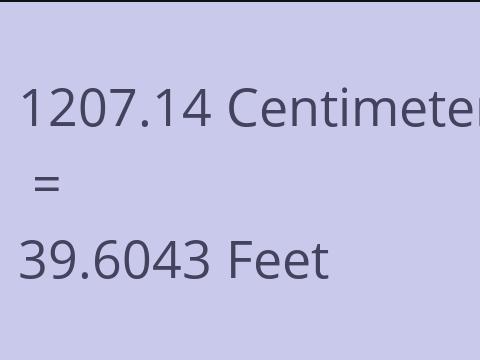 1207.14 CM TO FEET