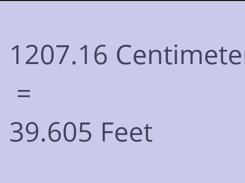 1207.16 CM TO FEET