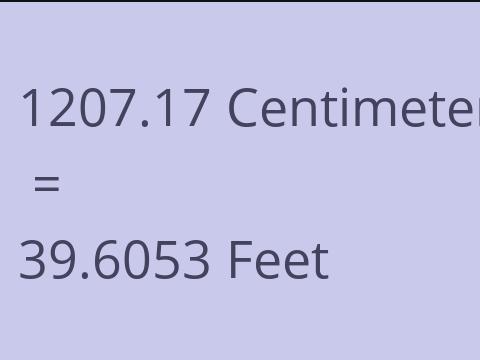 1207.17 CM TO FEET