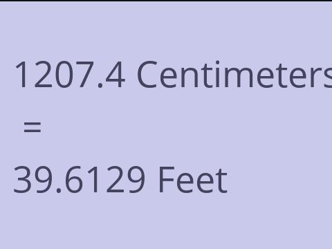 1207.4 CM TO FEET