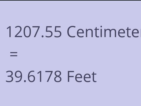 1207.55 CM TO FEET